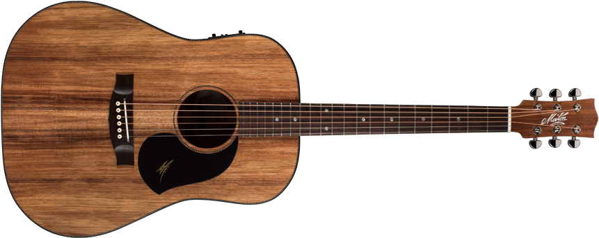 acoustic guitar